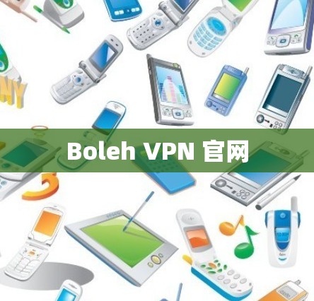 Boleh <strong>VPN</strong> 官网