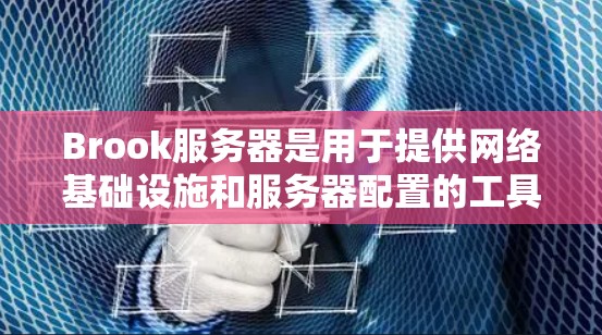 Brook服务器是用于提供网络基础设施和服务器配置的工具，常用于企业级服务器部署。以下是一些基本的设置步骤和注意事项，可以帮助你配置Brook服务器